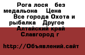 Рога лося , без медальона. › Цена ­ 15 000 - Все города Охота и рыбалка » Другое   . Алтайский край,Славгород г.